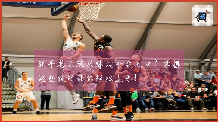 新手怎么玩买球站平台入口？掌握这些技巧让你轻松上手！