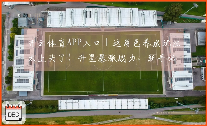 开云体育APP入口｜这角色养成玩法太上头了！升星暴涨战力，新手必看攻略！